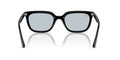Ray-Ban RB4439D
