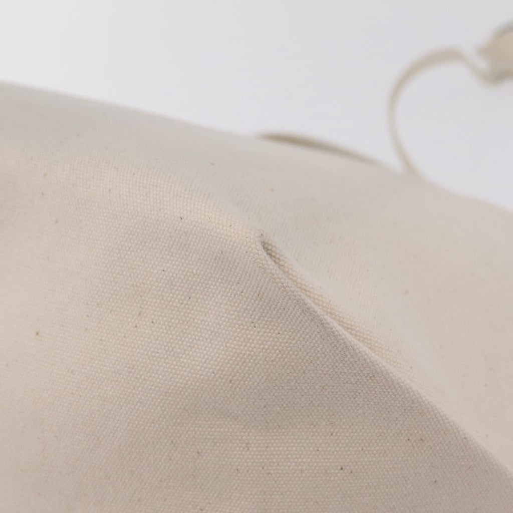 CELINE Hand Bag Canvas Ivory Silver Auth 210821A