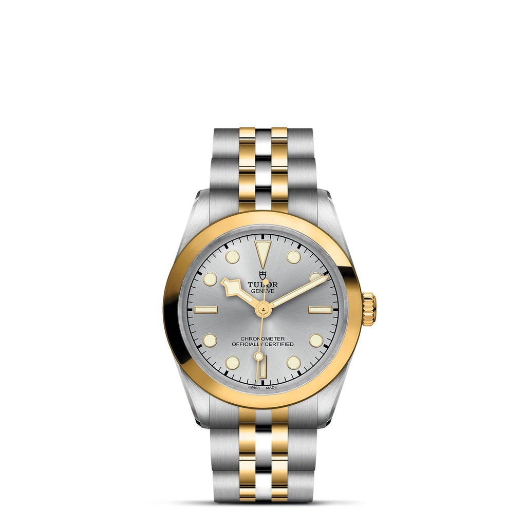 TUDOR Black Bay 31 S&G M79603-0002