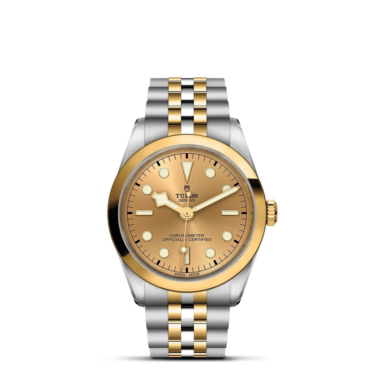 TUDOR Black Bay 36 S&G M79643-0005