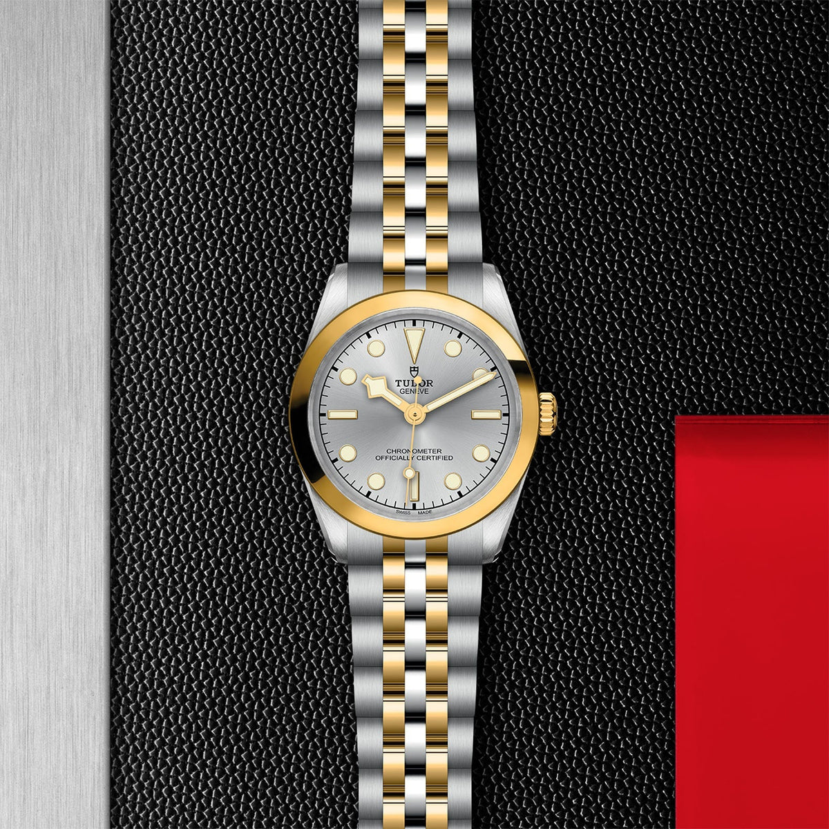 TUDOR Black Bay 31 S&G M79603-0002