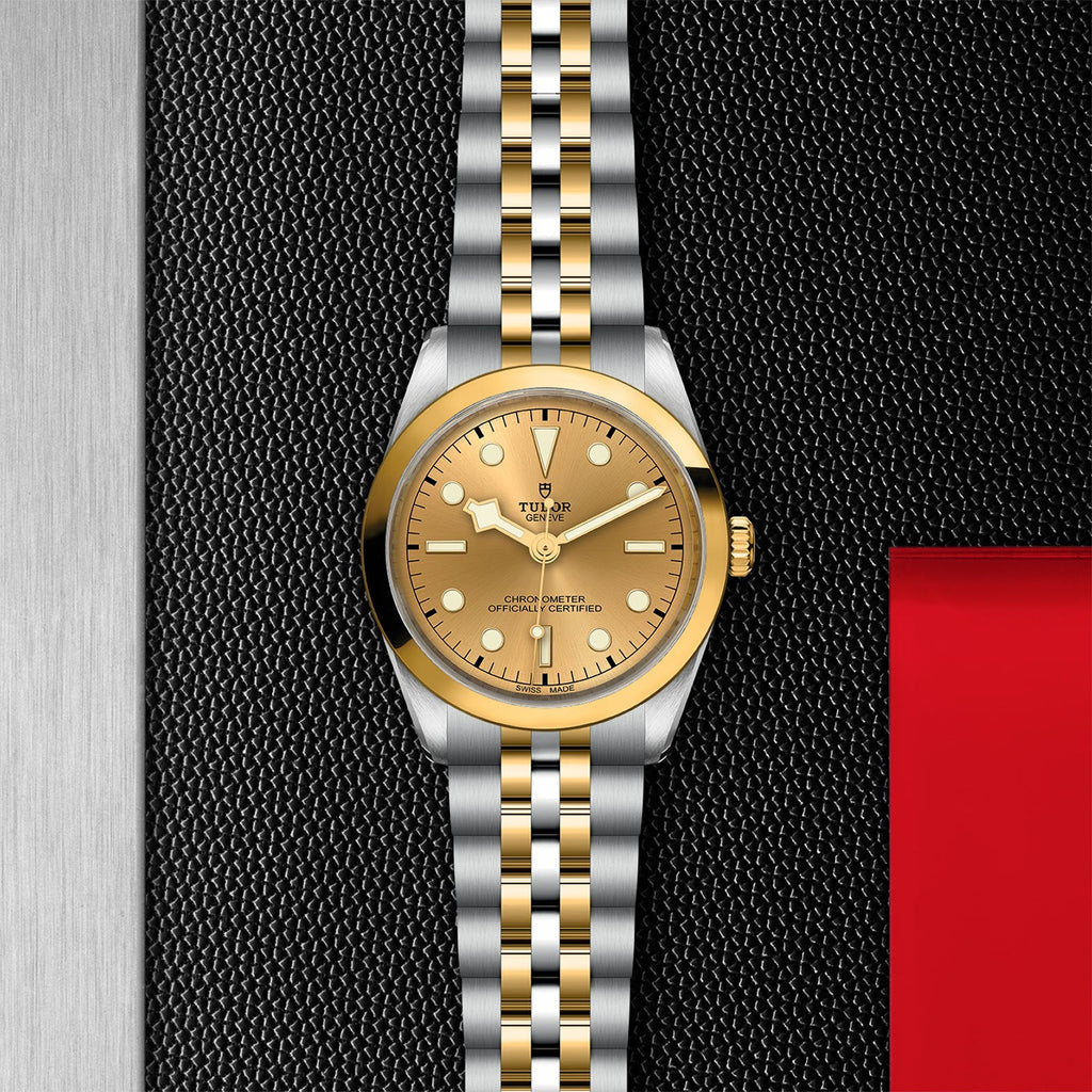 TUDOR Black Bay 36 S&G M79643-0005