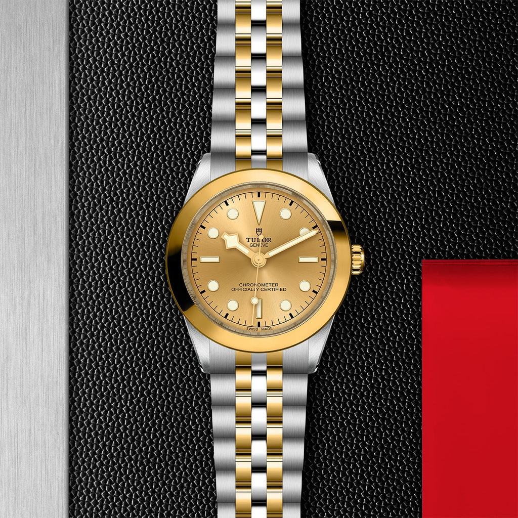 TUDOR Black Bay 39 S&G M79663-0005