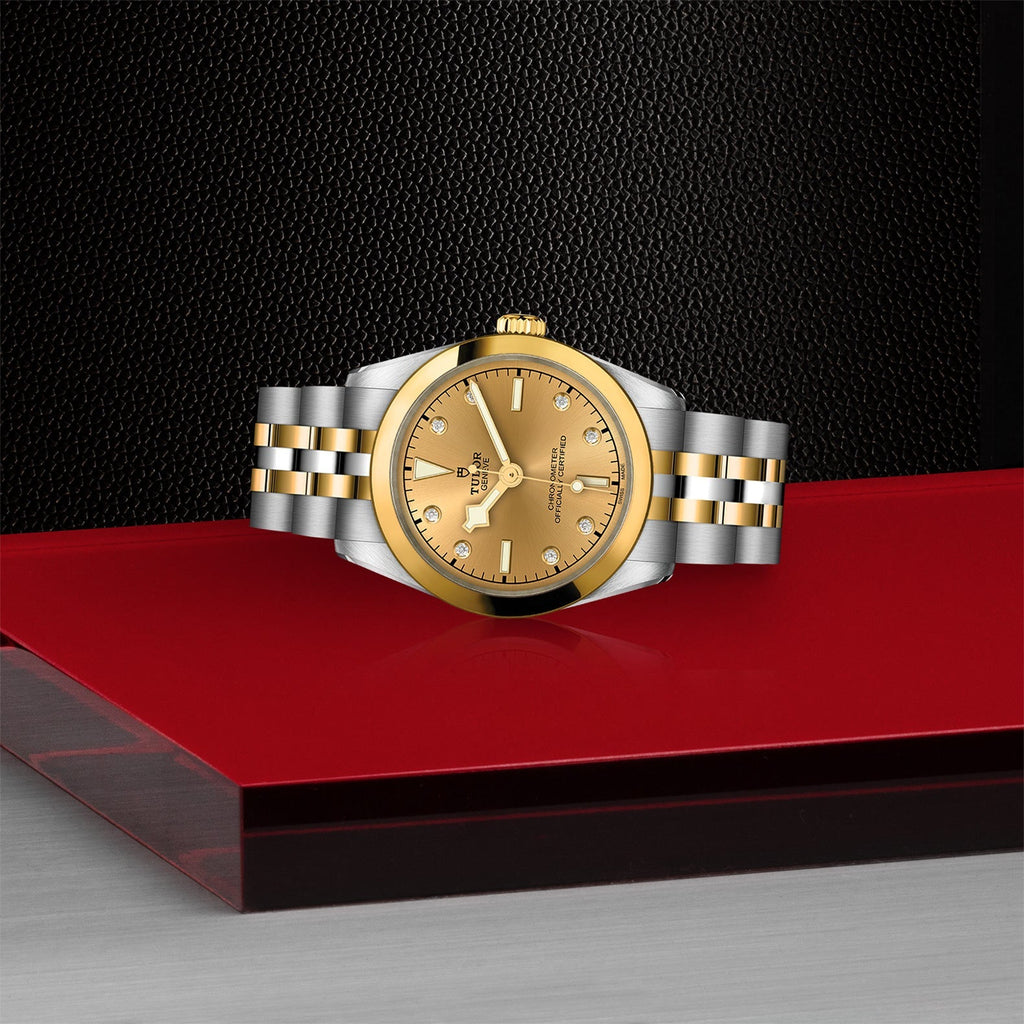 TUDOR Black Bay 31 S&G M79603-0008
