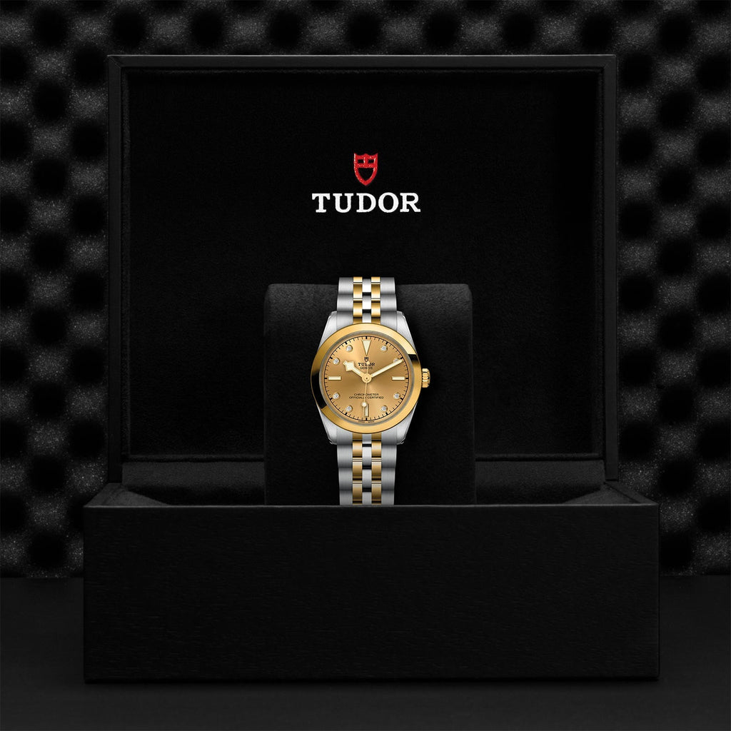 TUDOR Black Bay 31 S&G M79603-0008