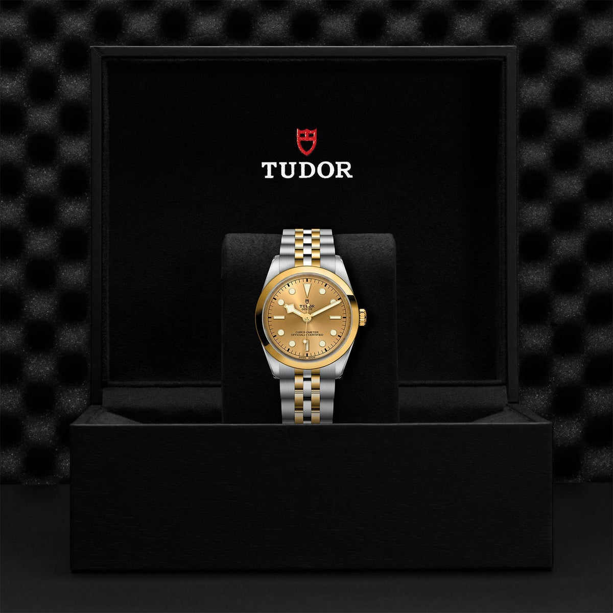 TUDOR Black Bay 36 S&G M79643-0005
