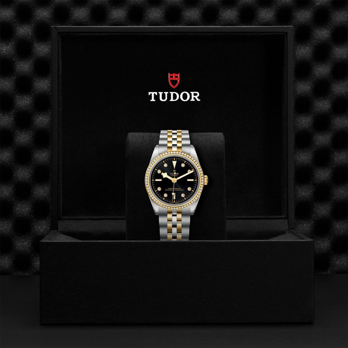 TUDOR Black Bay 36 S&G M79653-0005