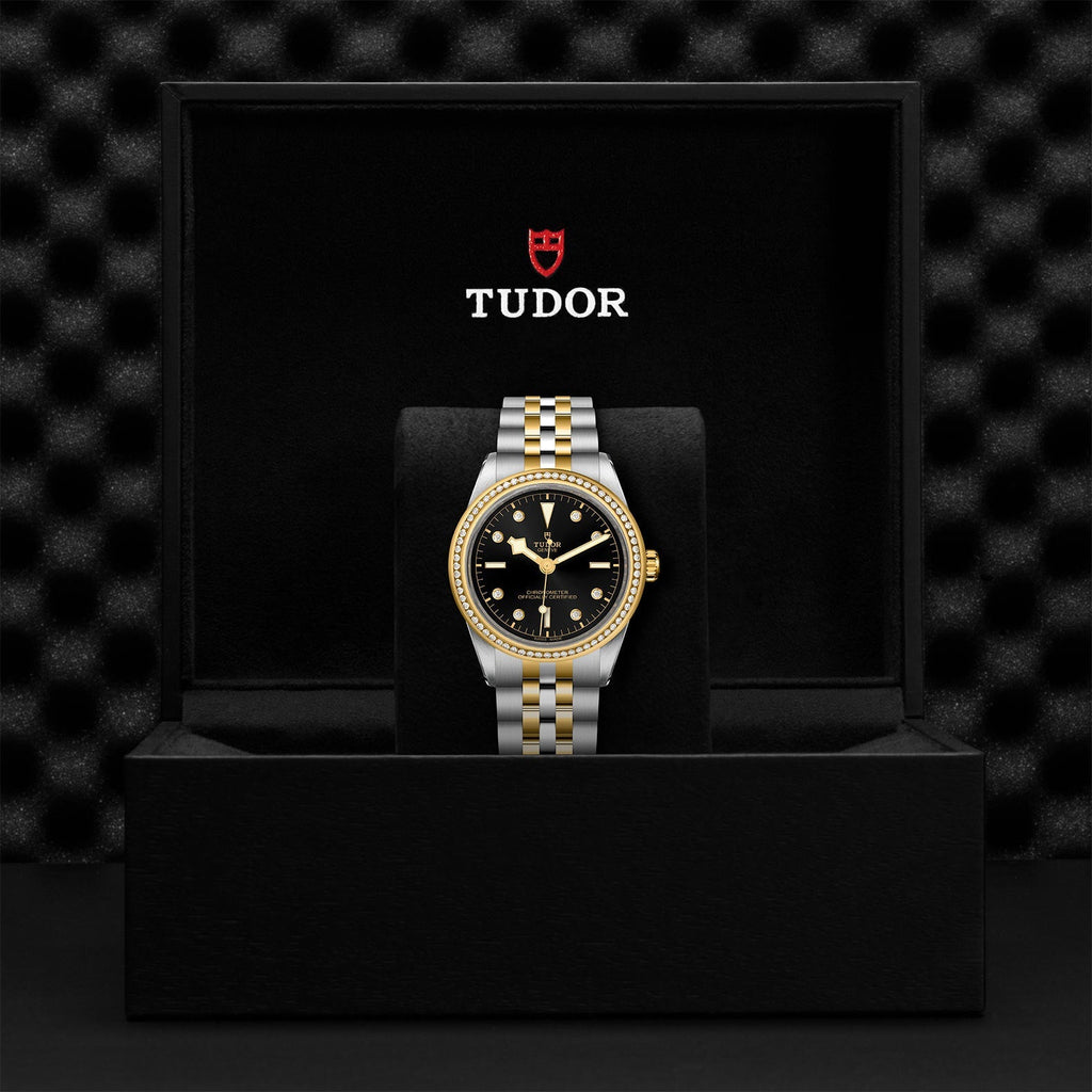 TUDOR Black Bay 39 S&G M79673-0005