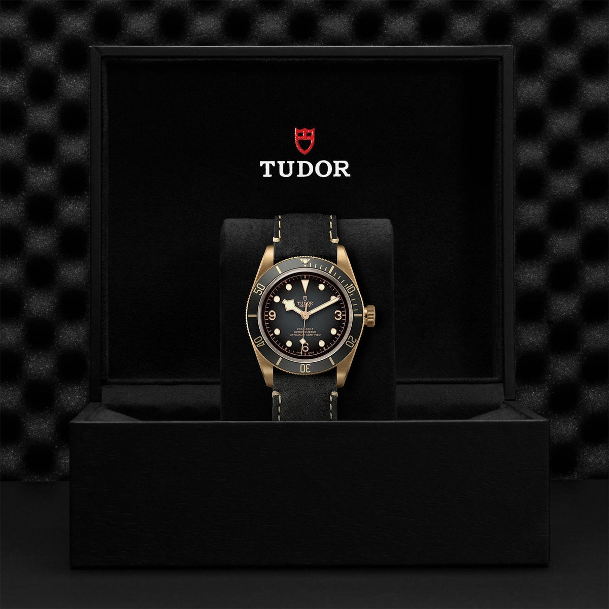 TUDOR Black Bay Bronze 43mm M79250BA-0001