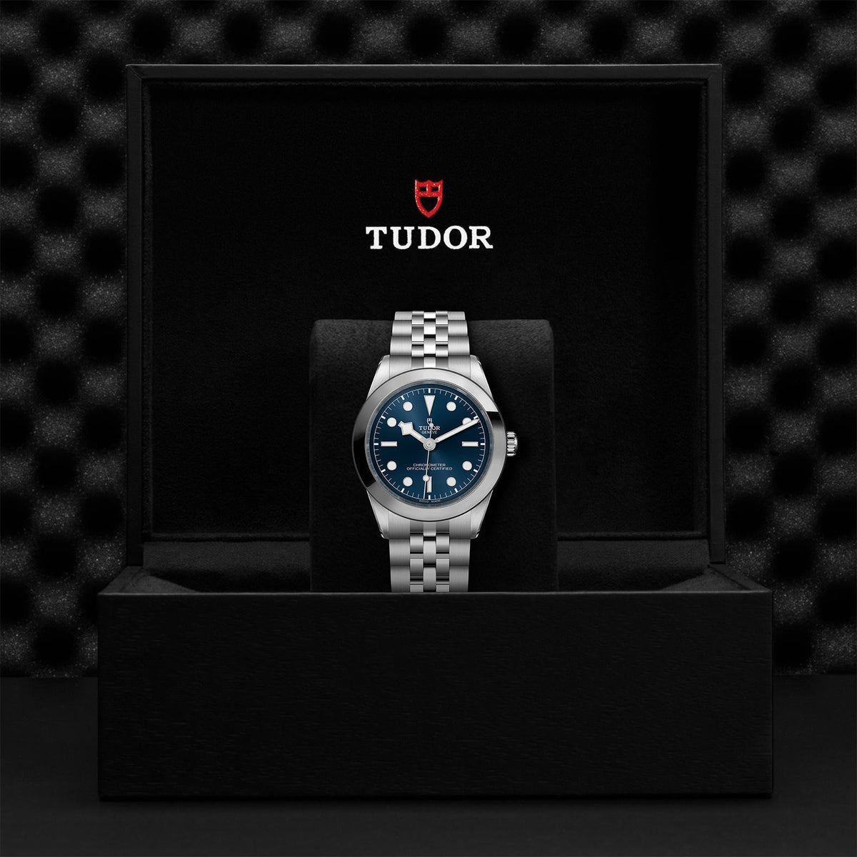 TUDOR Black Bay 39 M79660-0002
