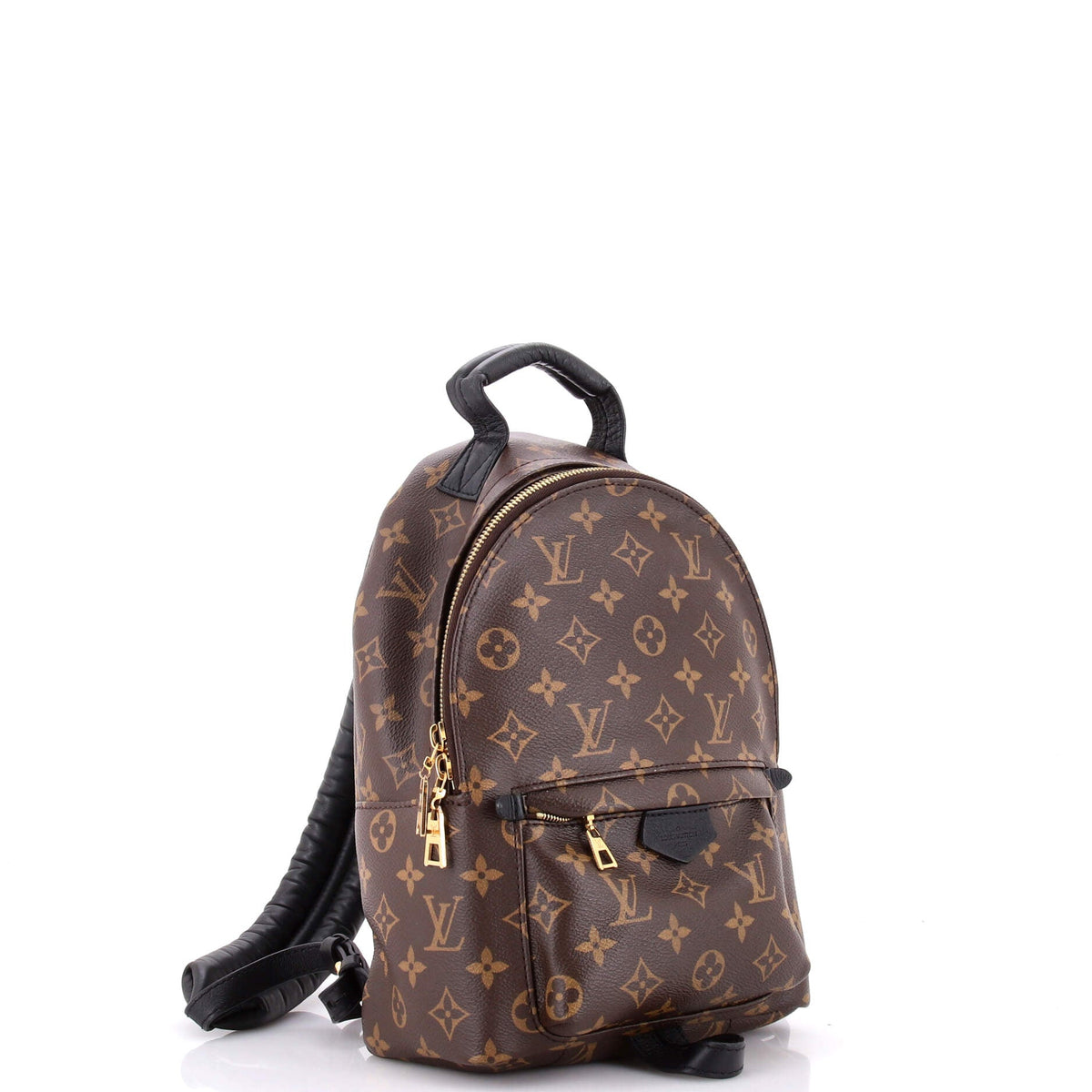 Palm Springs Backpack Monogram Canvas PM