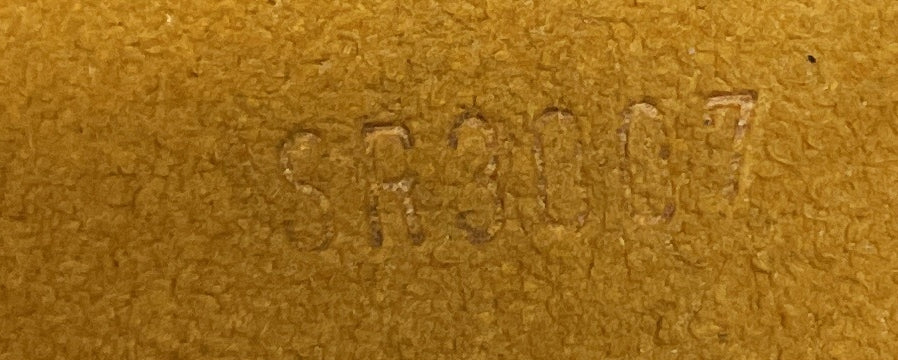 Camera Bag Monogram Denim