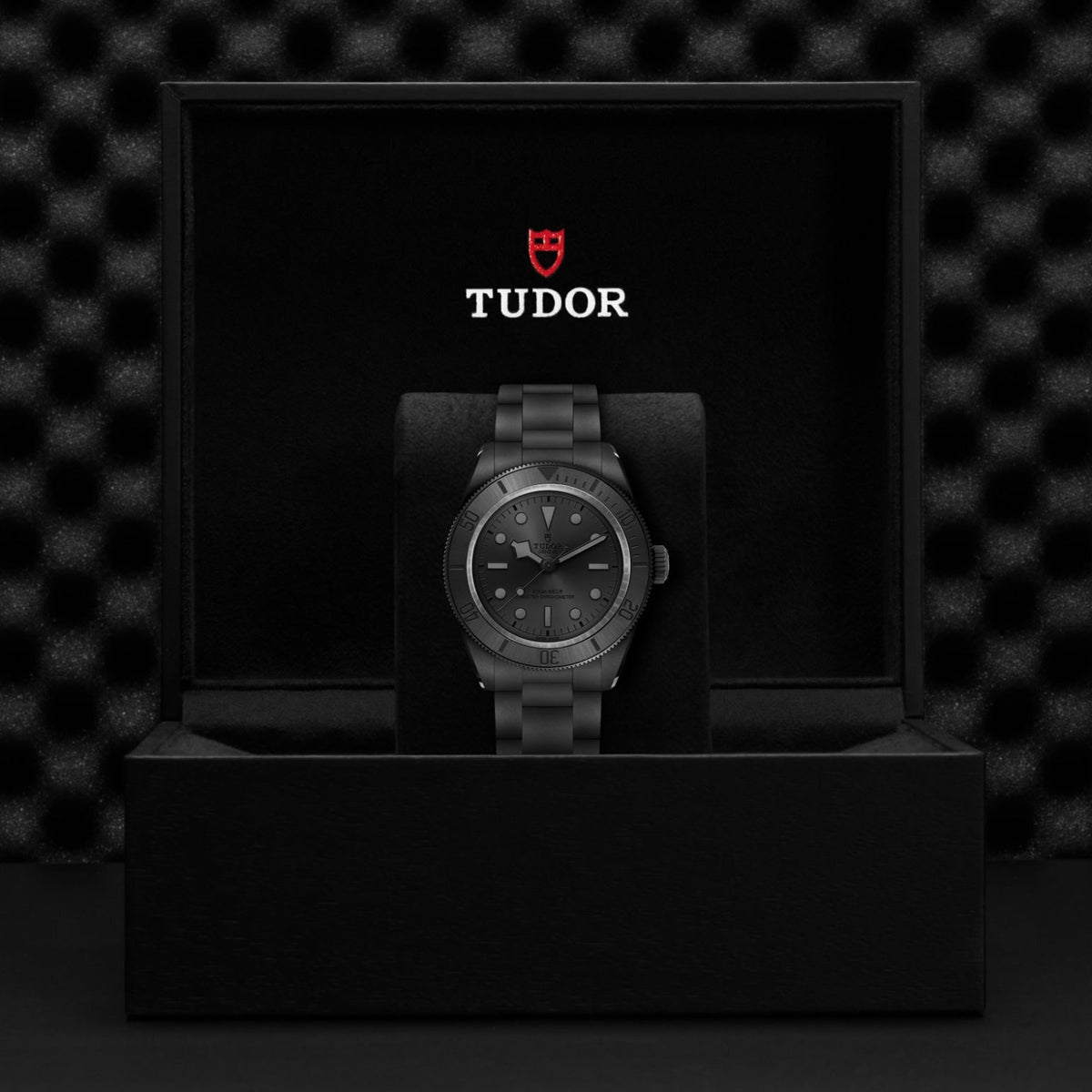 TUDOR Black Bay Ceramic M7941A1ACNU-0001