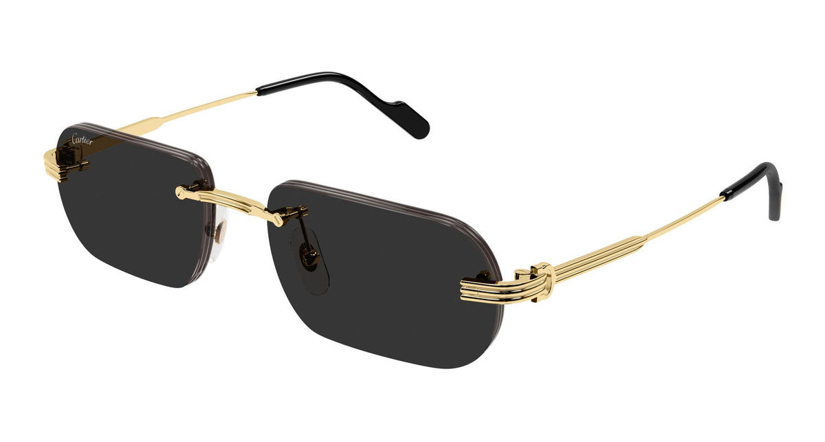 Cartier CT0577S