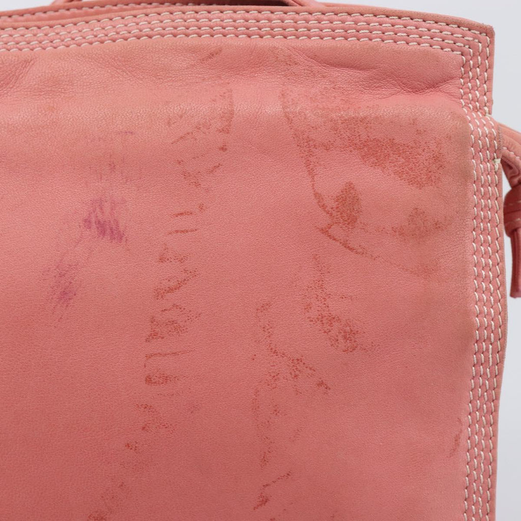LOEWE Shoulder Bag Leather Pink Gold Auth BA16679